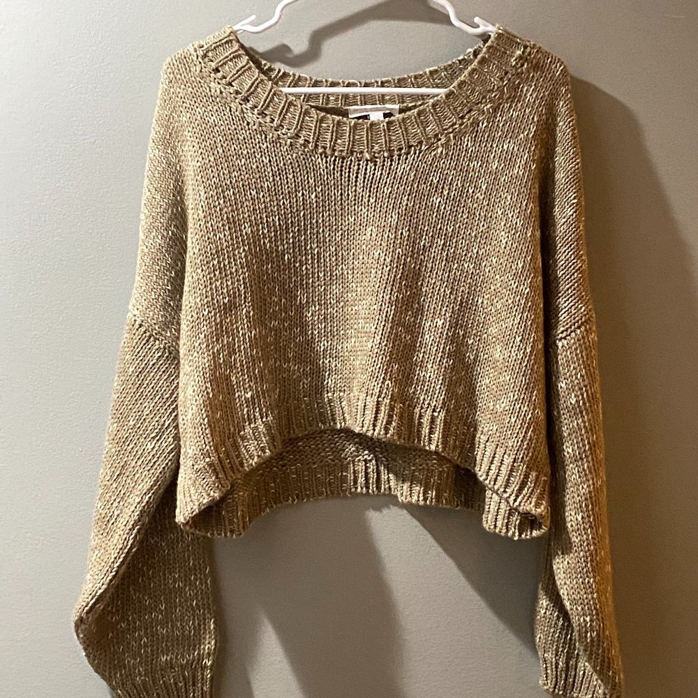 American Eagle don't ask why cropped tan sweater